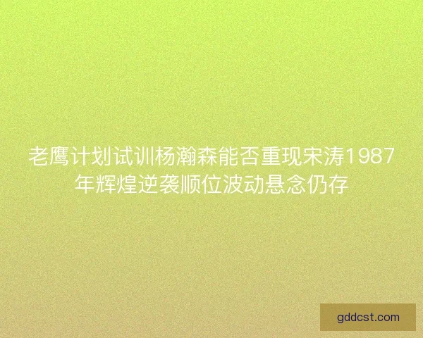 老鹰计划试训杨瀚森能否重现宋涛1987年辉煌逆袭顺位波动悬念仍存