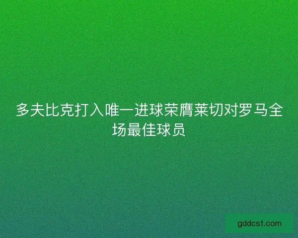 多夫比克打入唯一进球荣膺莱切对罗马全场最佳球员