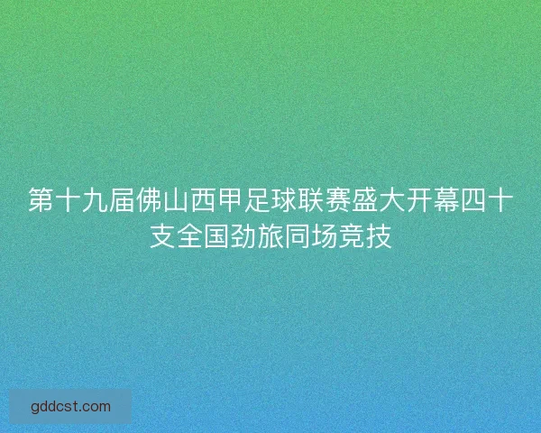 第十九届佛山西甲足球联赛盛大开幕四十支全国劲旅同场竞技
